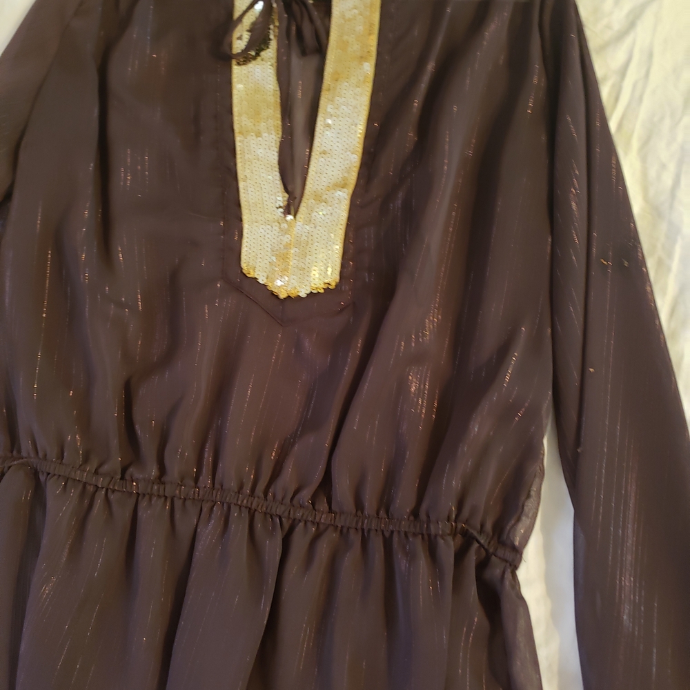 Brown Dress with Gold Accents